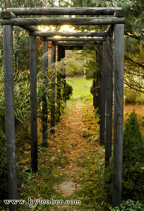 Trellis 1